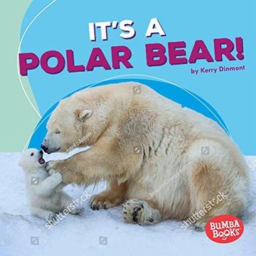 portada It s a Polar Bear! (Paperback) (en Inglés)