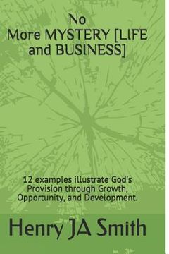 portada No Longer a Lost Mystery: 12 Examples Illustrate How God's Provision Comes Through Growth, Opportunity, and Development.