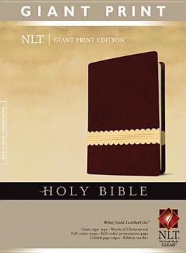 portada holy bible