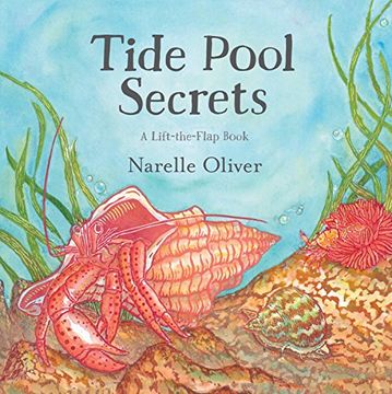 portada Tide Pool Secrets (en Inglés)