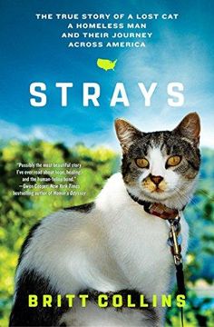 portada Strays: The True Story of a Lost Cat, a Homeless Man, and Their Journey Across America (in English)
