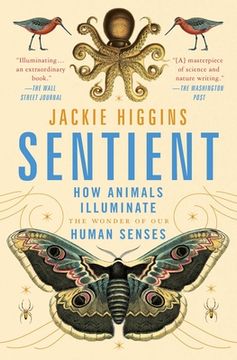 portada Sentient: How Animals Illuminate the Wonder of our Human Senses (en Inglés)