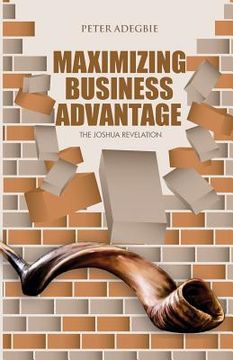 portada Maximising Business Advantage: The Joshua Revelation