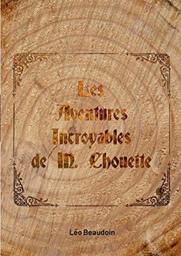portada Les Aventures Incroyables de m. Chouette (en Francés)