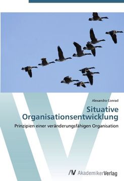 portada Situative Organisationsentwicklung: Prinzipien einer veränderungsfähigen Organisation