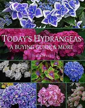 portada Today'S Hydrangeas: A Buying Guide & More (en Inglés)
