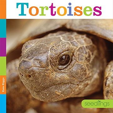 portada Tortoises (Seedlings)