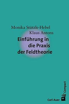 portada Einführung in die Praxis der Feldtheorie (Carl-Auer Compact) (in German)