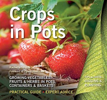 portada Crops in Pots: Practical Guide, Expert Advice (Digging and Planting) 