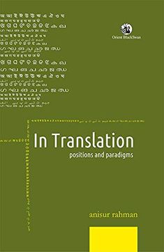 portada In Translation: Positions and Paradigms (in English)
