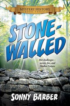 portada Stonewalled: Mystery History Book Three