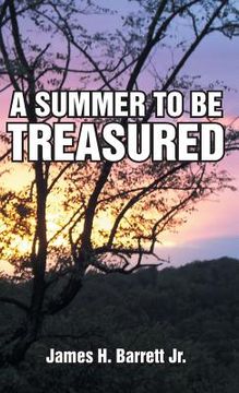 portada A Summer to Be Treasured (en Inglés)