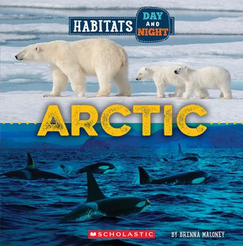 portada Arctic (Wild World: Habitats Day and Night) (en Inglés)