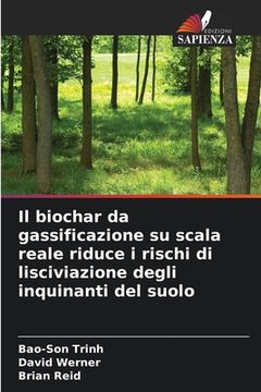 Il biochar da gassificazione su scala reale riduce i rischi di lisciviazione degli inquinanti del suolo (in Italian)