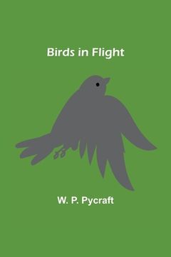 portada Birds in Flight (en Inglés)