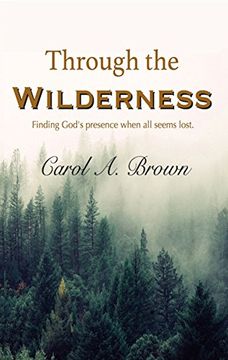 portada Through The Wilderness: Finding God's presence when all seems lost.