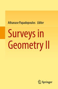 portada Surveys in Geometry II (en Inglés)
