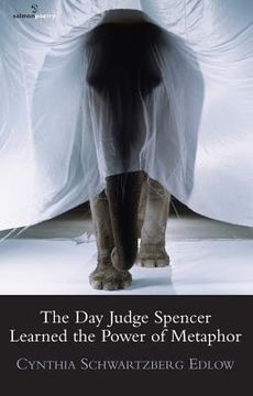 portada the day judge spencer learned the power of metaphor (en Inglés)