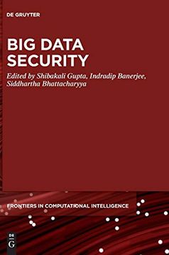 portada Big Data Security: 3 (de Gruyter Frontiers in Computational Intelligence, 3) (en Inglés)