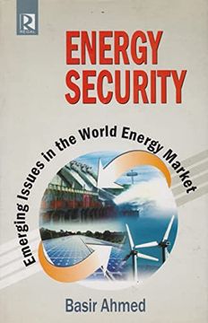 portada Emerging Issues in the World Energy Market