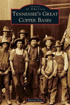 portada Tennessee's Great Copper Basin (en Inglés)