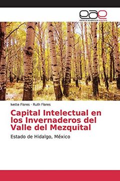 portada Capital Intelectual en los Invernaderos del Valle del Mezquital: Estado de Hidalgo, México