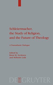 portada Schleiermacher, the Study of Religion, and the Future of Theology (Theologische Bibliothek Topelmann) (en Inglés)