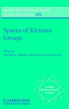 portada spaces of kleinian groups (en Inglés)