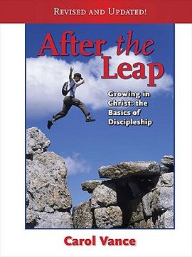 portada after the leap (in English)