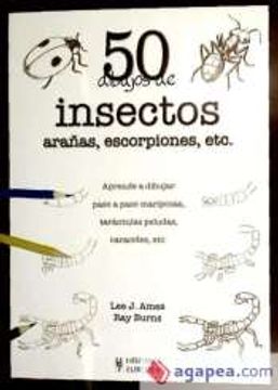 portada 50 Dibujos de Insectos