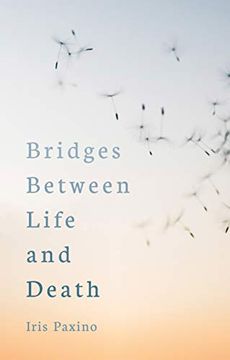 portada Bridges Between Life and Death 
