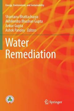 portada Water Remediation (en Inglés)