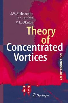 portada theory of concentrated vortices: an introduction (en Inglés)