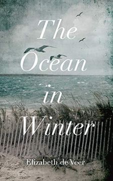 portada The Ocean in Winter (in English)