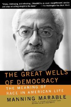 portada the great wells of democracy: the meaning of race in american life