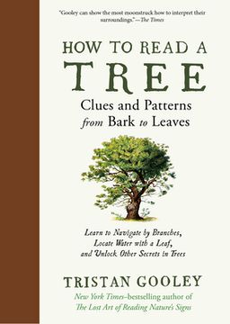 portada How to Read a Tree: Clues and Patterns From Bark to Leaves (Natural Navigation) (en Inglés)