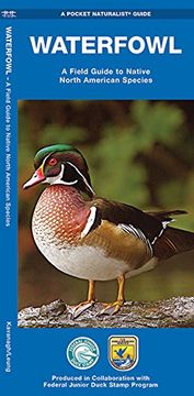 portada Waterfowl: A Field Guide to Native North American Species (Pocket Naturalist Guide Series)