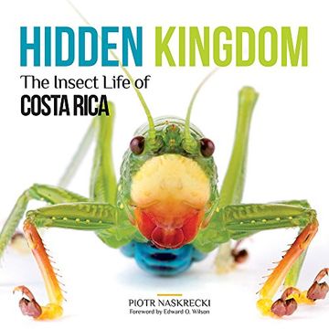 portada Hidden Kingdom: The Insect Life of Costa Rica (Zona Tropical Publications) (en Inglés)