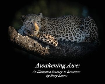 portada Awakening Awe: An Illustrated Journey to Reverence (en Inglés)