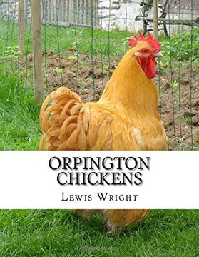 portada Orpington Chickens: From The Book of Poultry