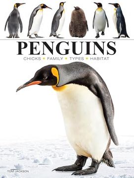 portada Penguins (Mini Encyclopedia) (en Inglés)