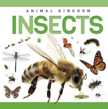 Insects (en Inglés)