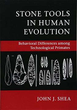 portada Stone Tools in Human Evolution: Behavioral Differences Among Technological Primates (en Inglés)