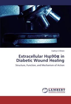 portada Extracellular Hsp90 in Diabetic Wound Healing