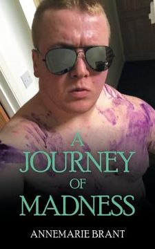 portada A Journey of Madness: Part 1 (in English)