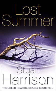 portada Lost Summer (in English)