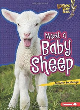 portada Meet a Baby Sheep (Lightning Bolt Books)
