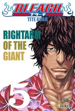 Bleach Vol. 02
