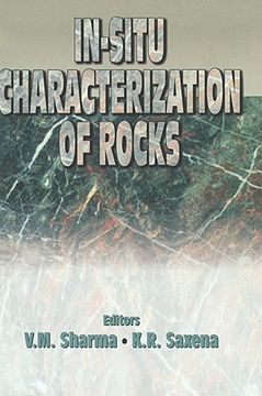portada in situ characterization rocks (in English)