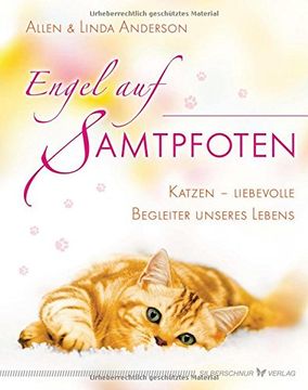 portada Engel auf Samtpfoten: Katzen - liebevolle Begleiter unseres Lebens (en Alemán)